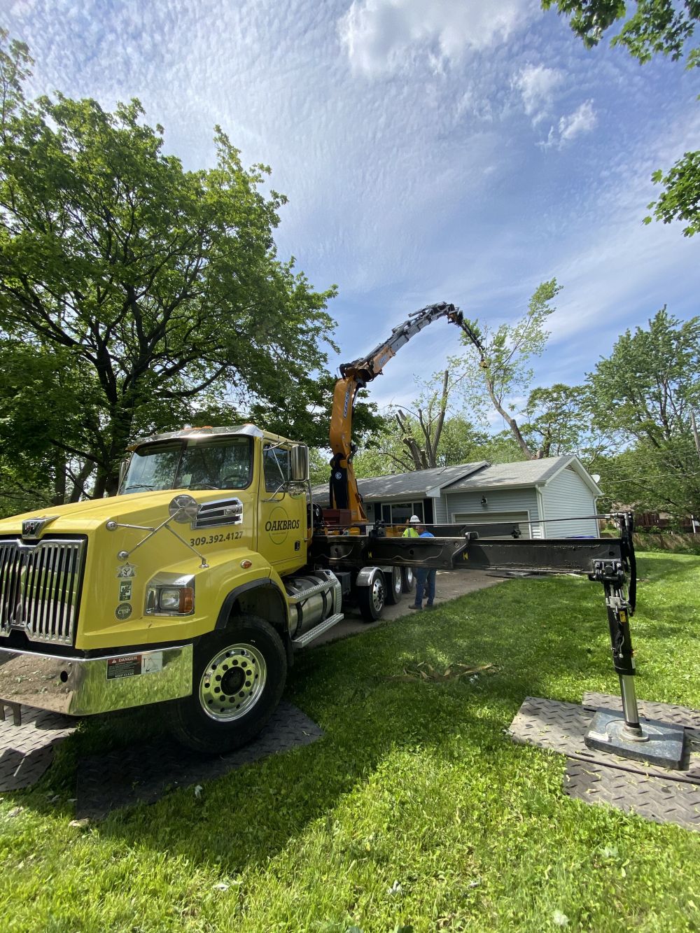 Grapple Saw Truck removing a tree